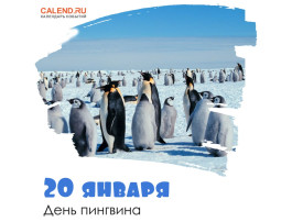 День пингвина День пингвина.